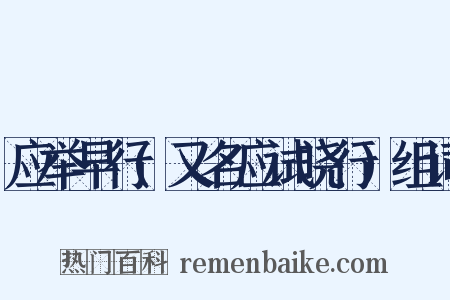 应举早行(又名应试晓行)组词是什么意思的图片